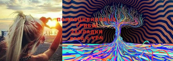 спайс Абаза