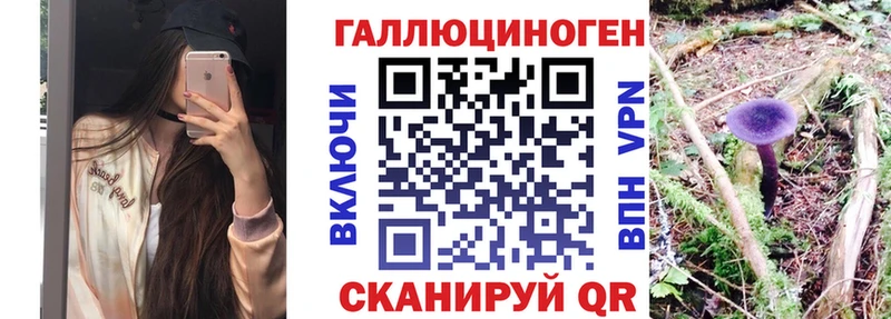 Галлюциногенные грибы Psilocybine cubensis  Старая Купавна 