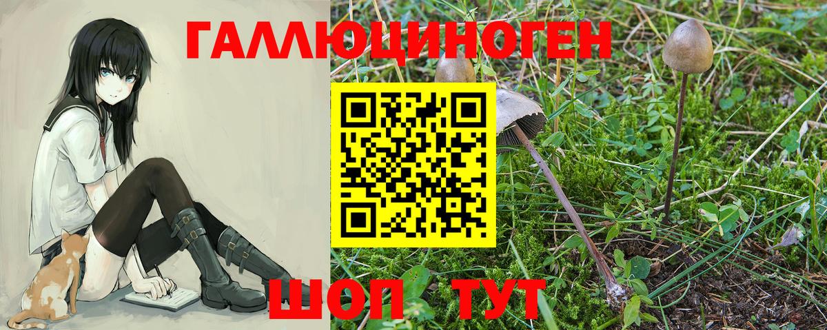 Псилоцибиновые грибы прущие грибы Старая Купавна
